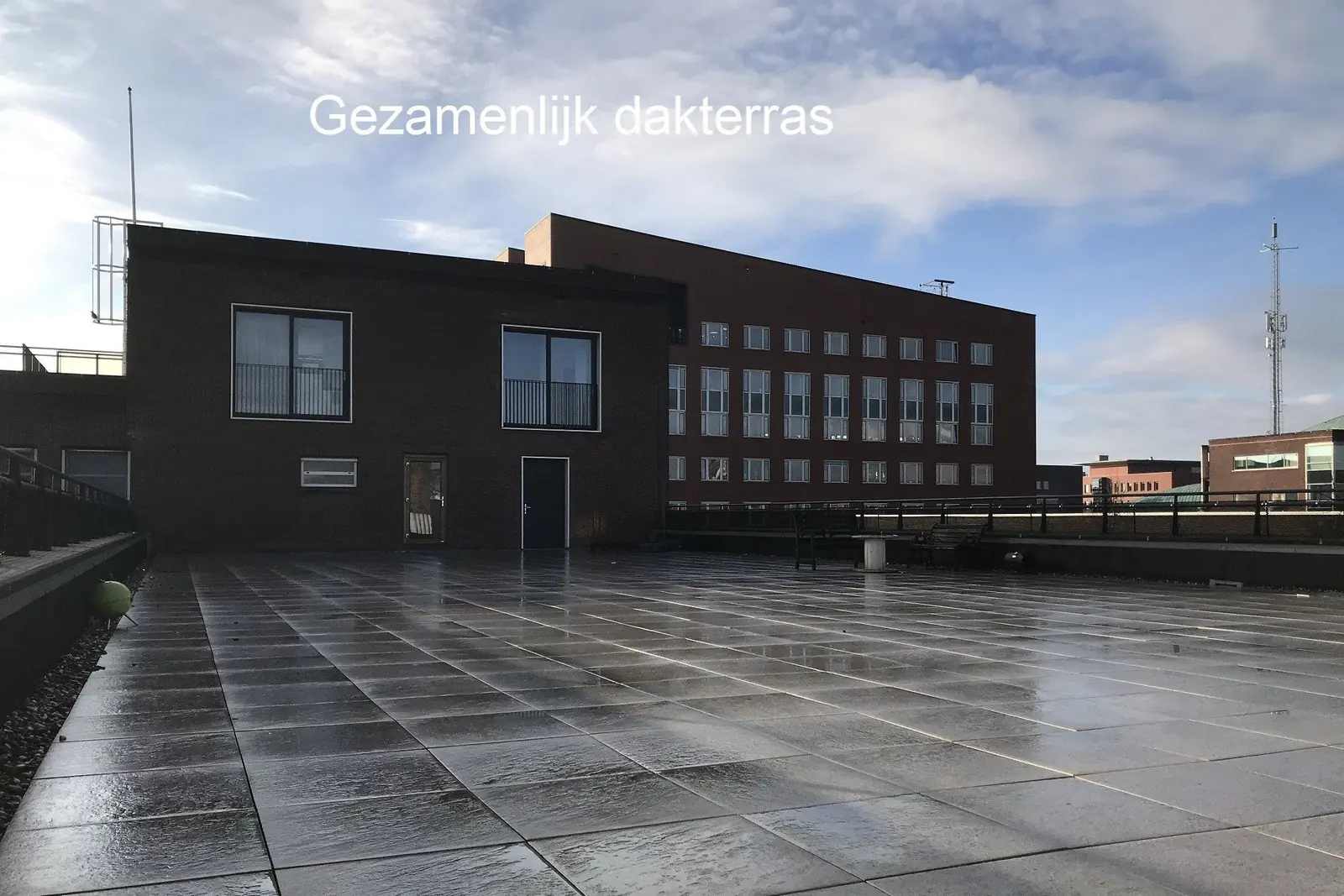 Image 19 of 23