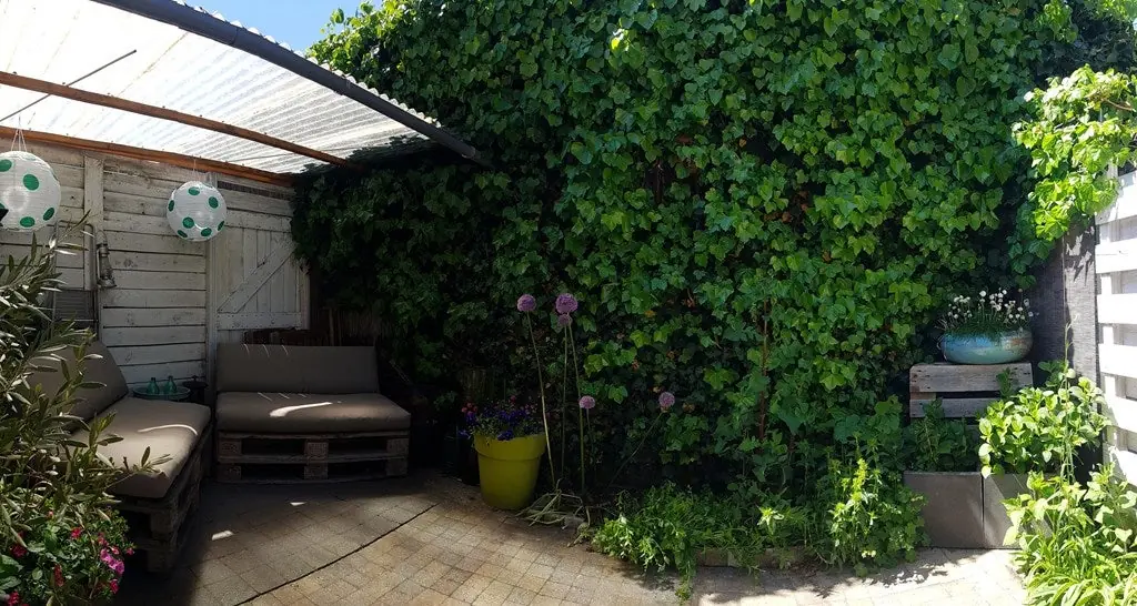 Image 11 of 21