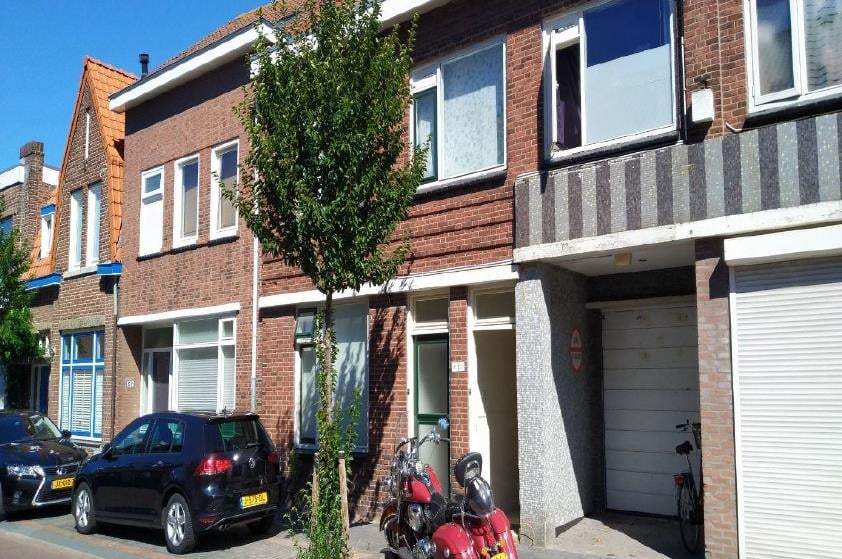 Afbeelding 1 van 11