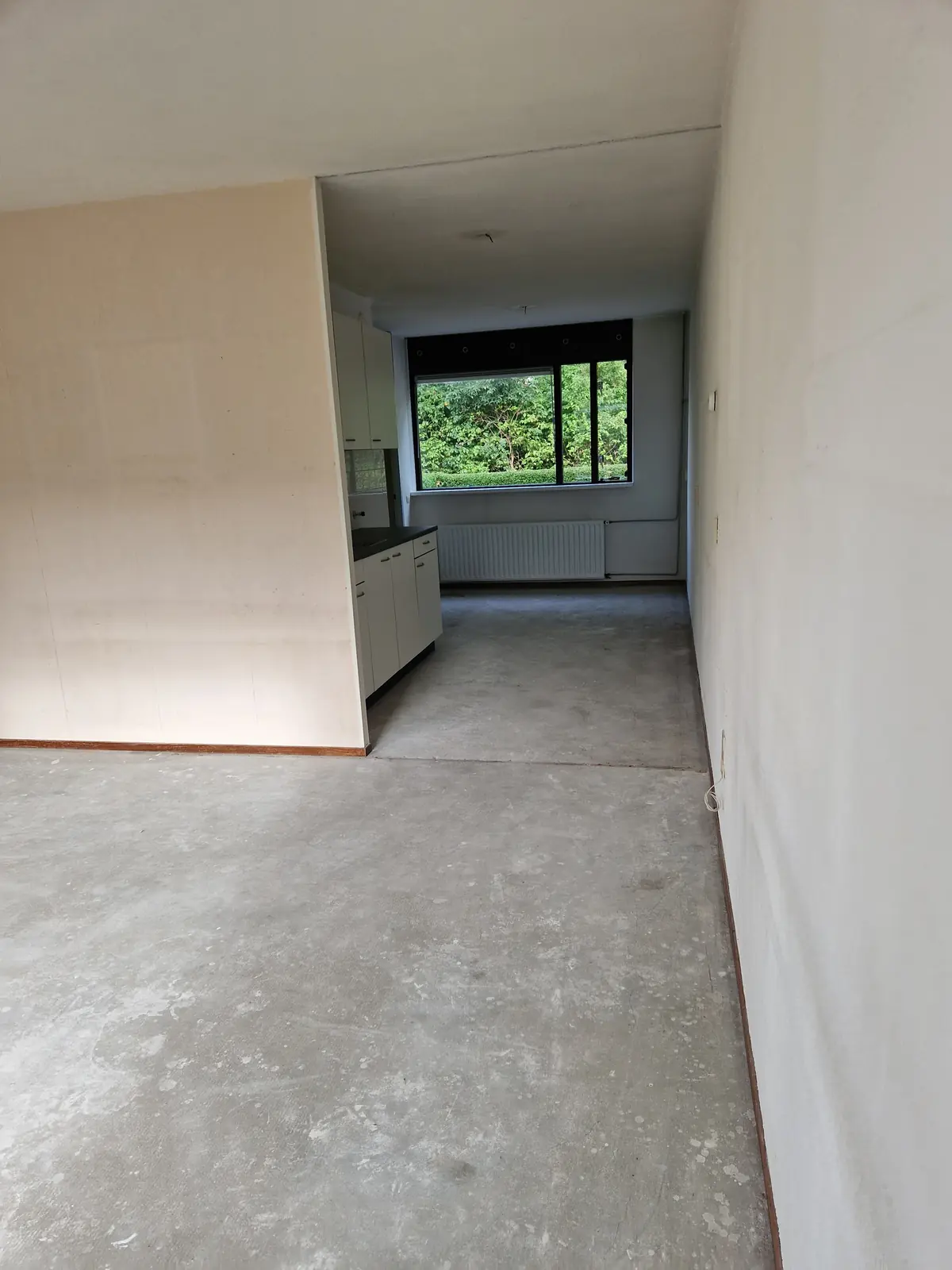 Bild 5 von 12