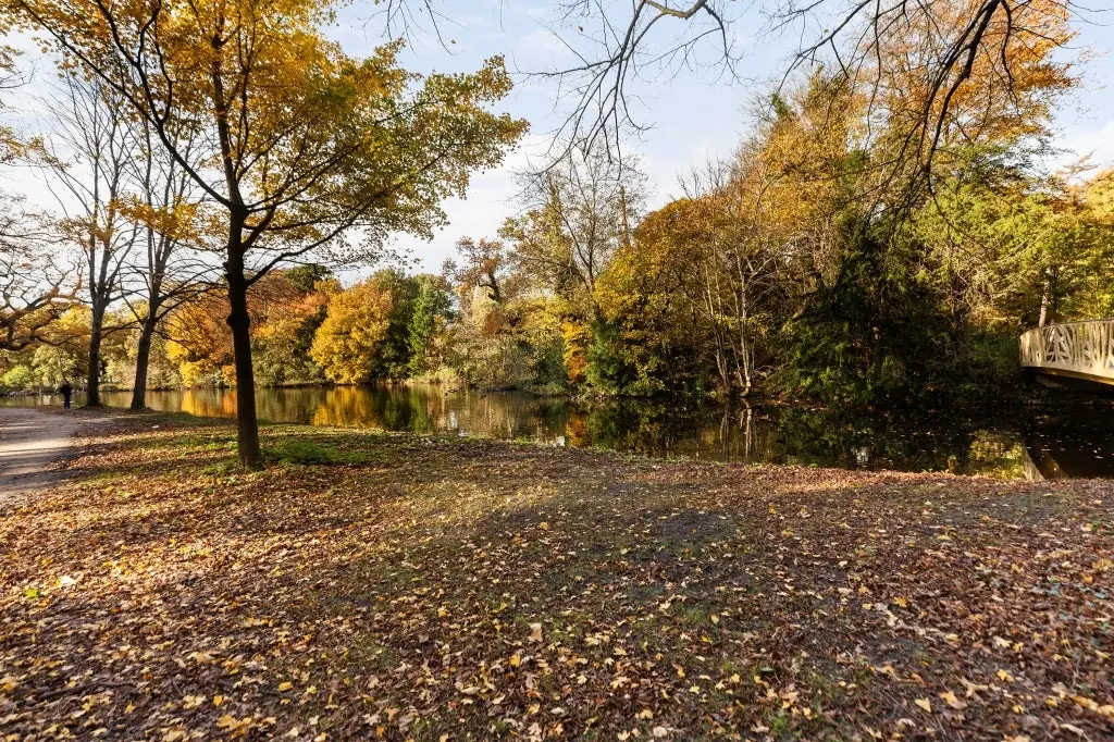 Image 37 of 39