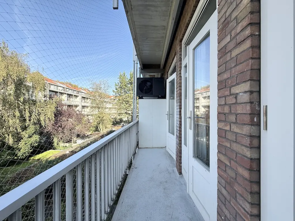 Image 10 of 16