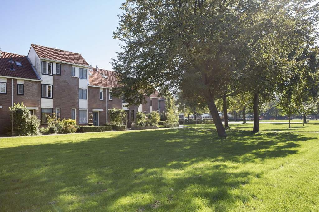 Afbeelding 2 van 28
