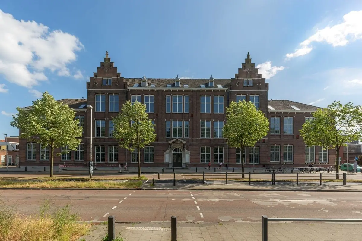 Image 14 of 19