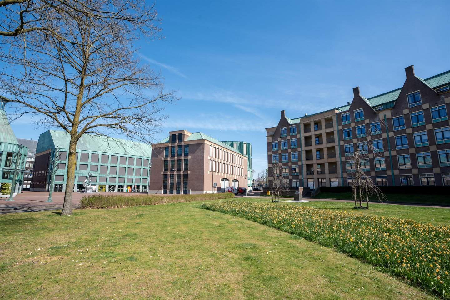 Afbeelding 3 van 12