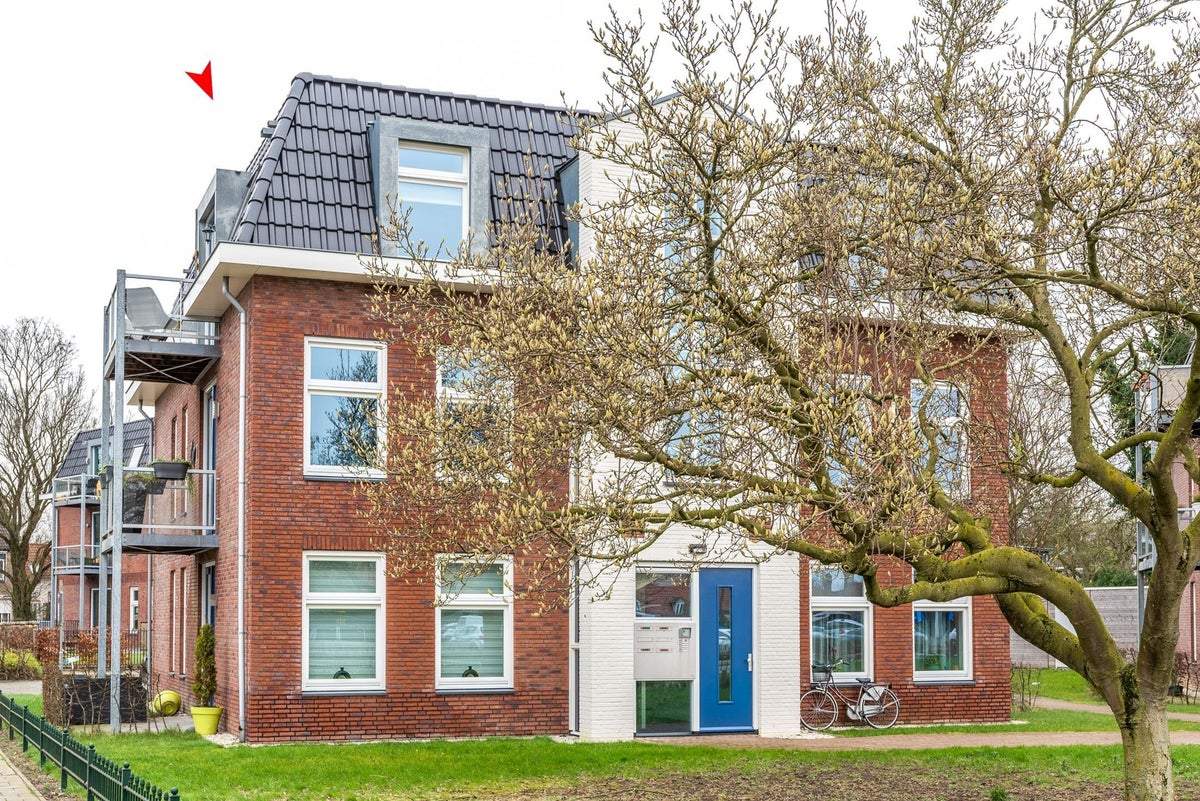 Afbeelding 1 van 19