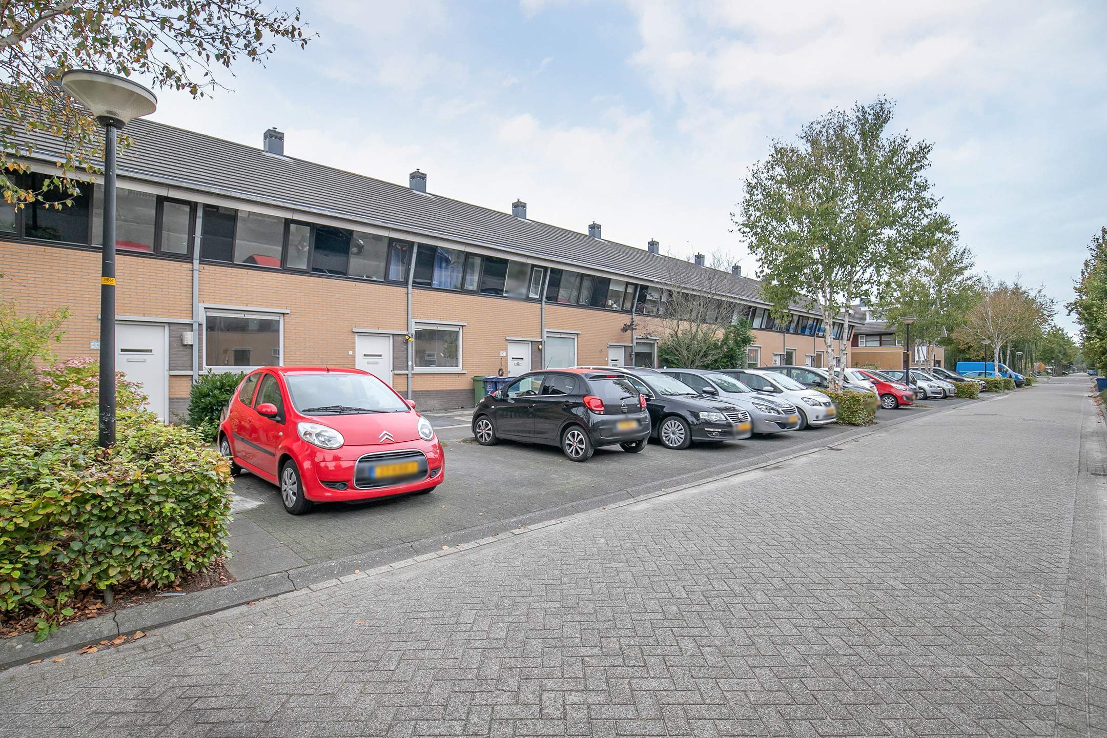 Afbeelding 1 van 11