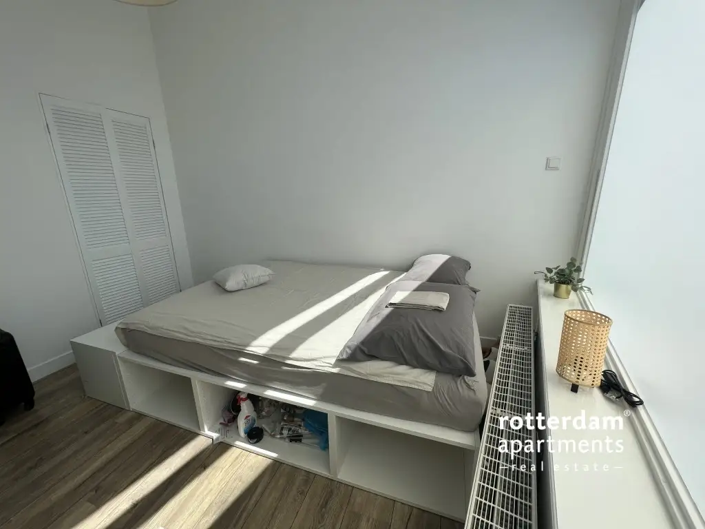 Image 3 of 23