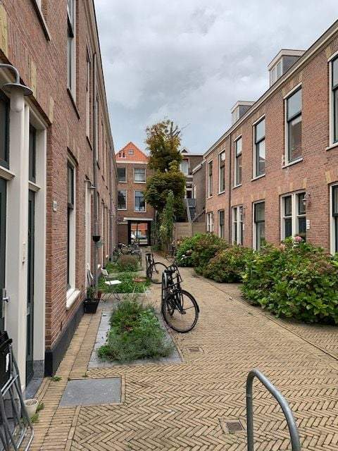 Afbeelding 2 van 8