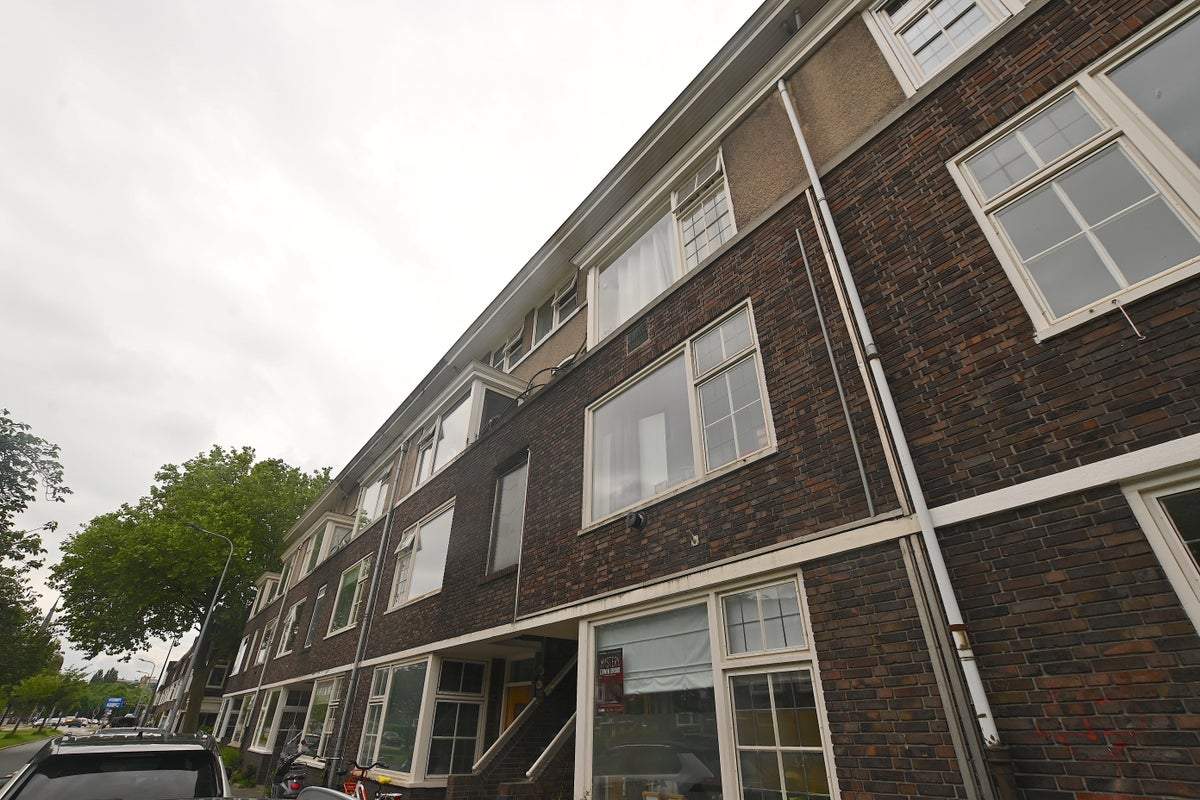 Afbeelding 1 van 13