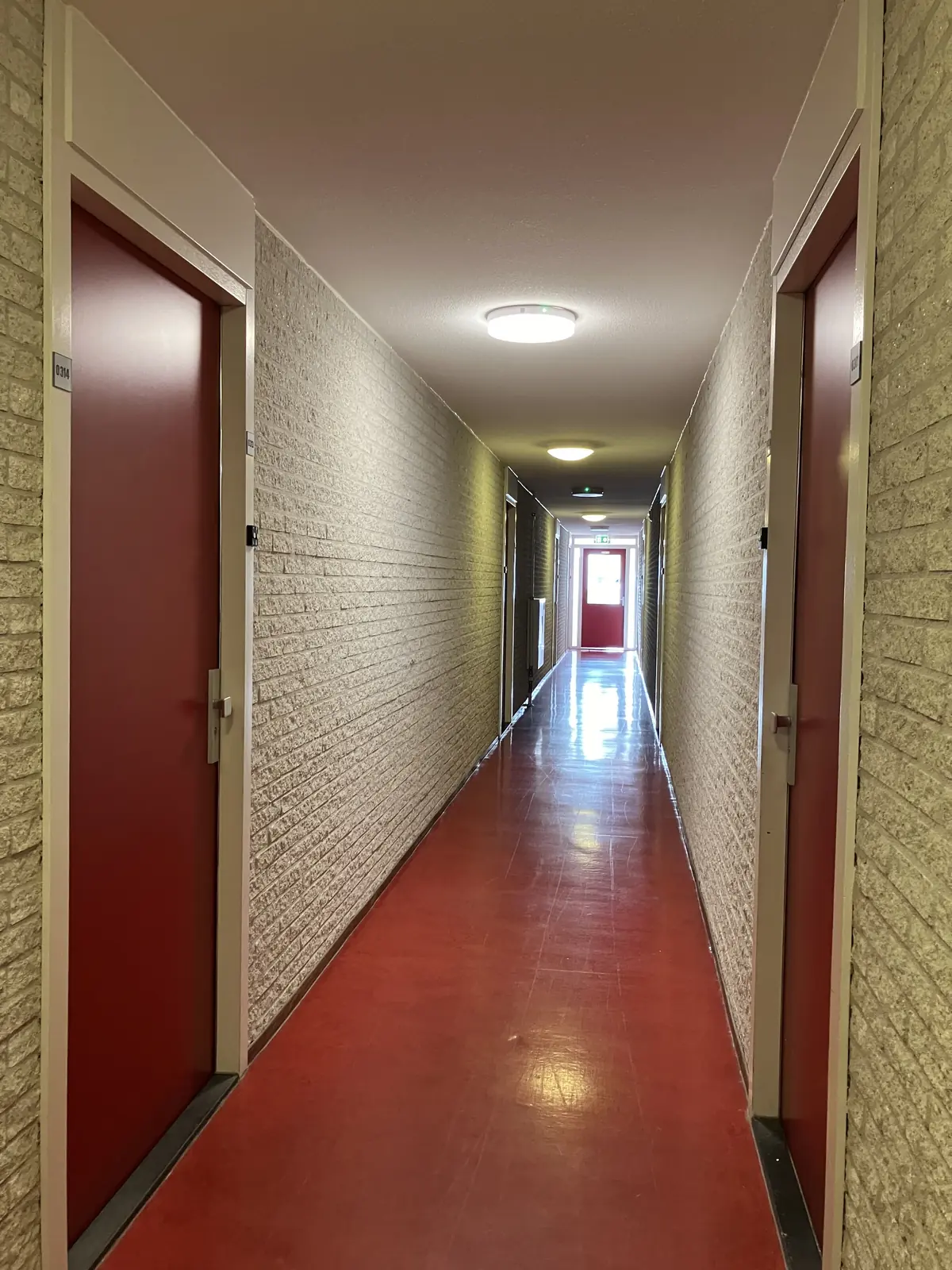 Bild 6 von 6