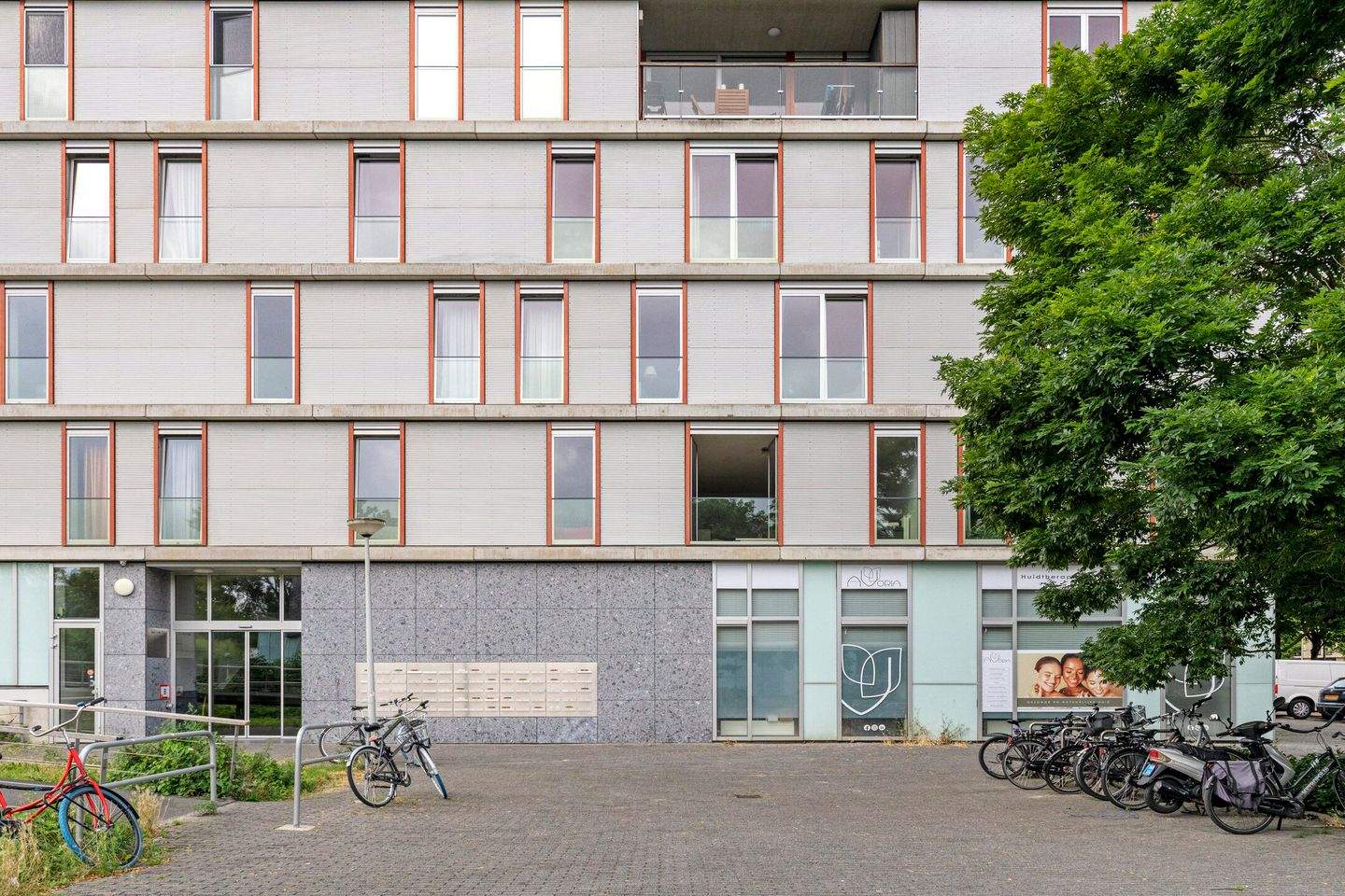 Afbeelding 2 van 12