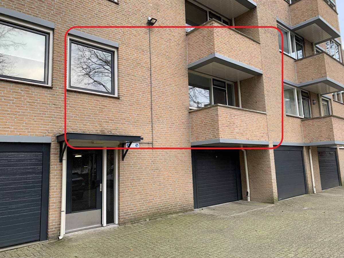 Afbeelding 3 van 22