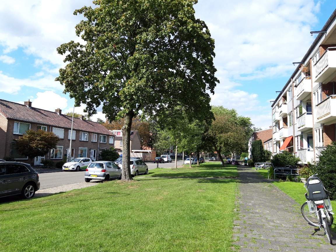 Bild 3 von 5