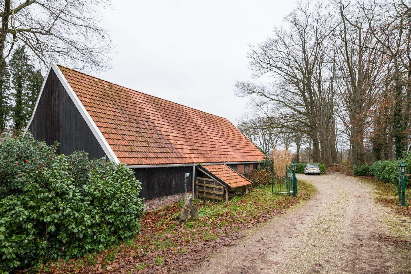 Afbeelding 1 van 12
