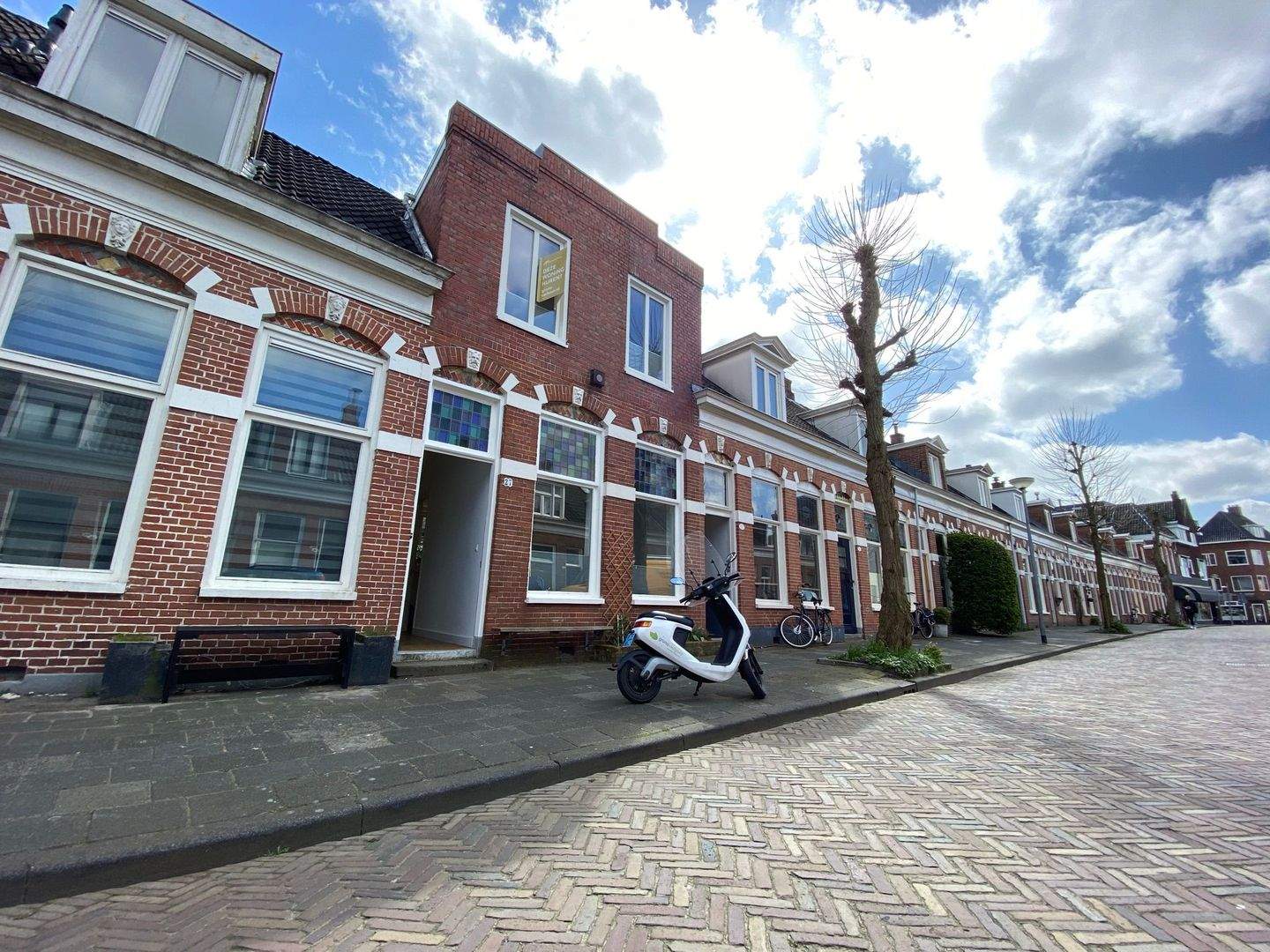 Afbeelding 1 van 1
