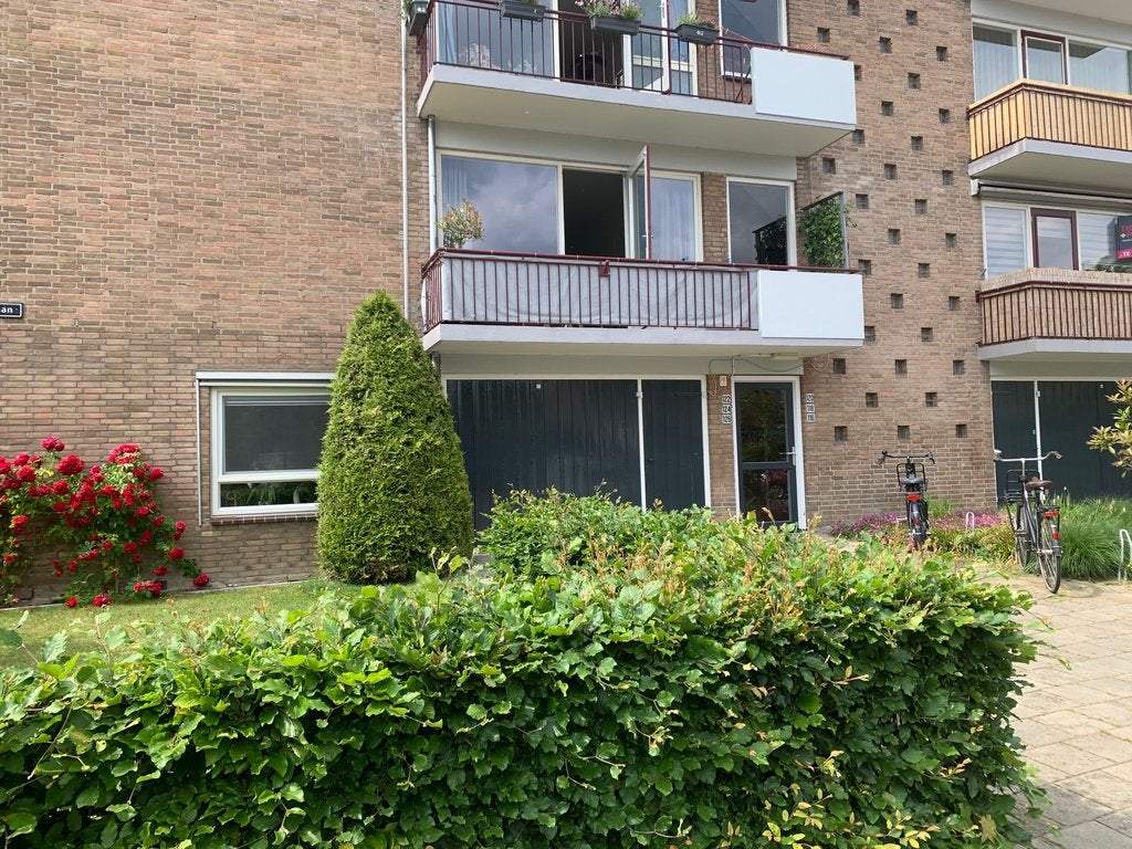 Afbeelding 1 van 14