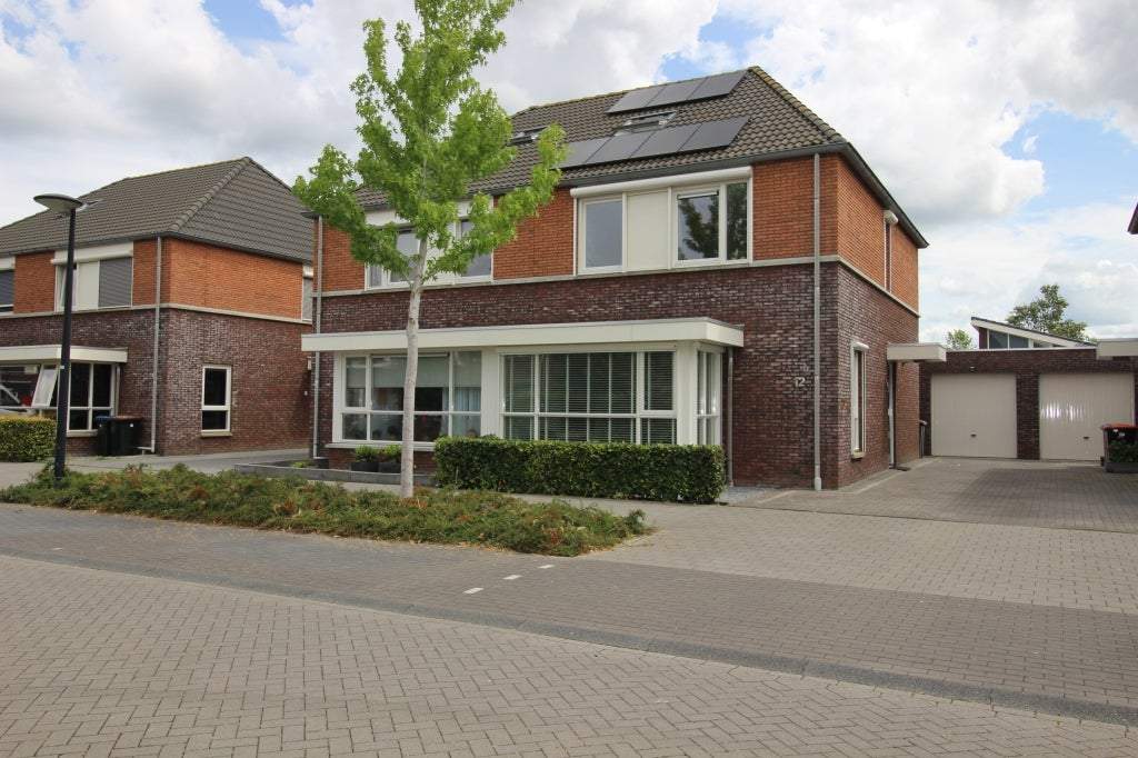 Afbeelding 1 van 31