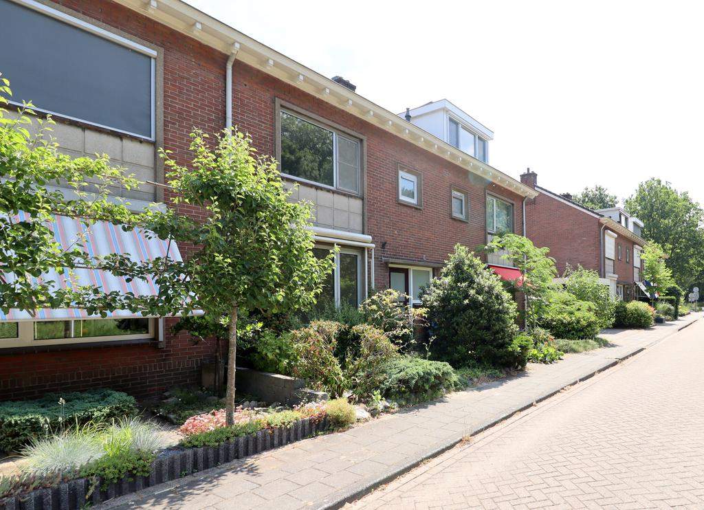 Afbeelding 1 van 12