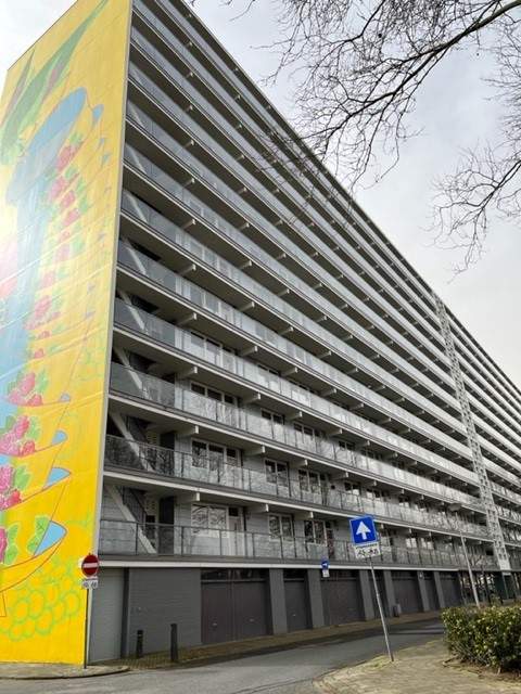 Image 1 sur 3