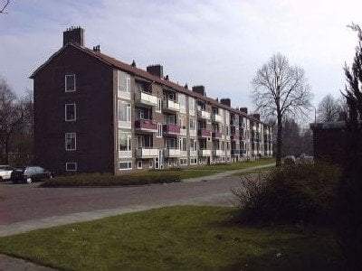Afbeelding 1 van 1
