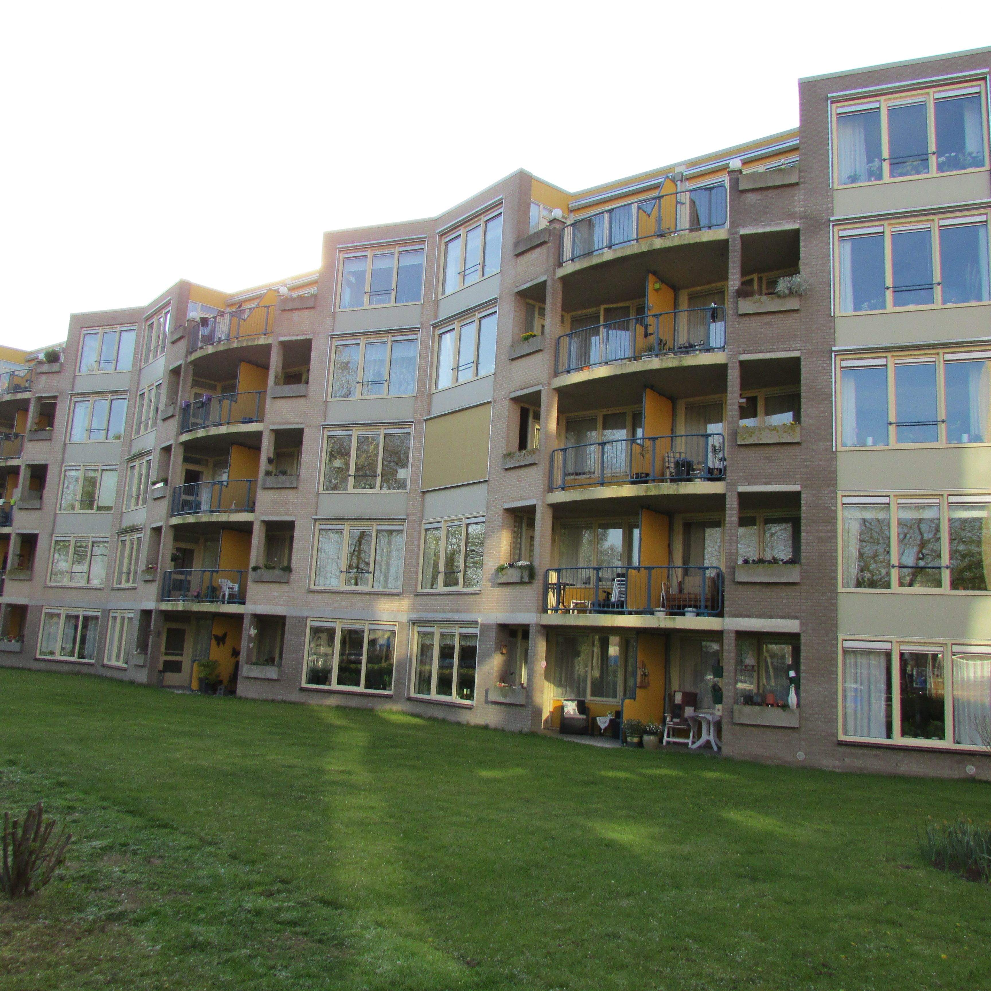 Afbeelding 1 van 1