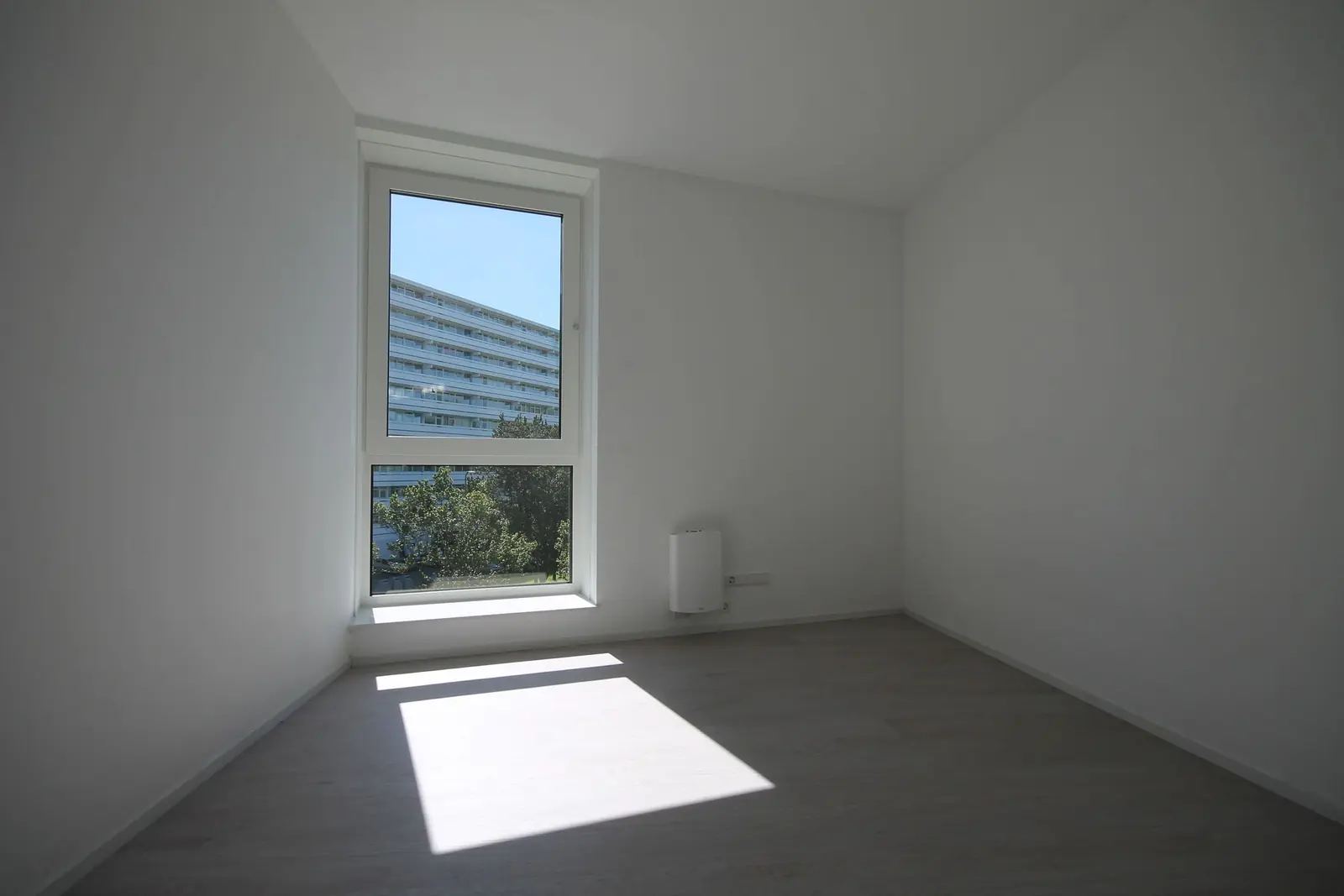 Image 6 of 8