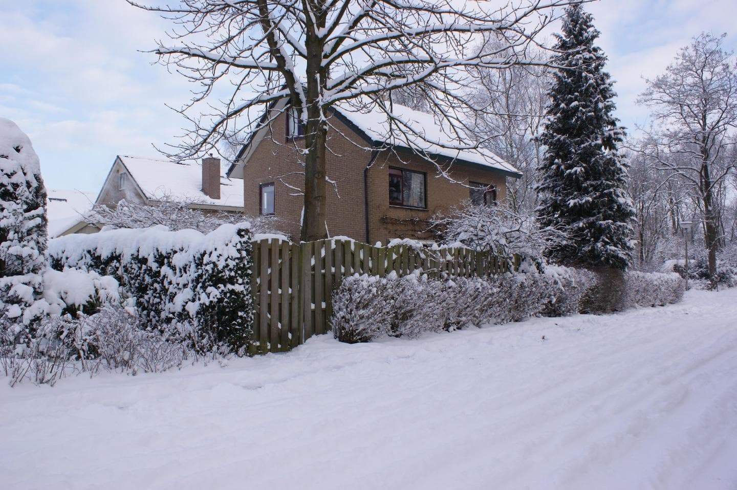 Image 9 of 9