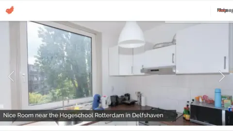 Habitación en Willem Buytewechstraat, Róterdam - En Alquiler