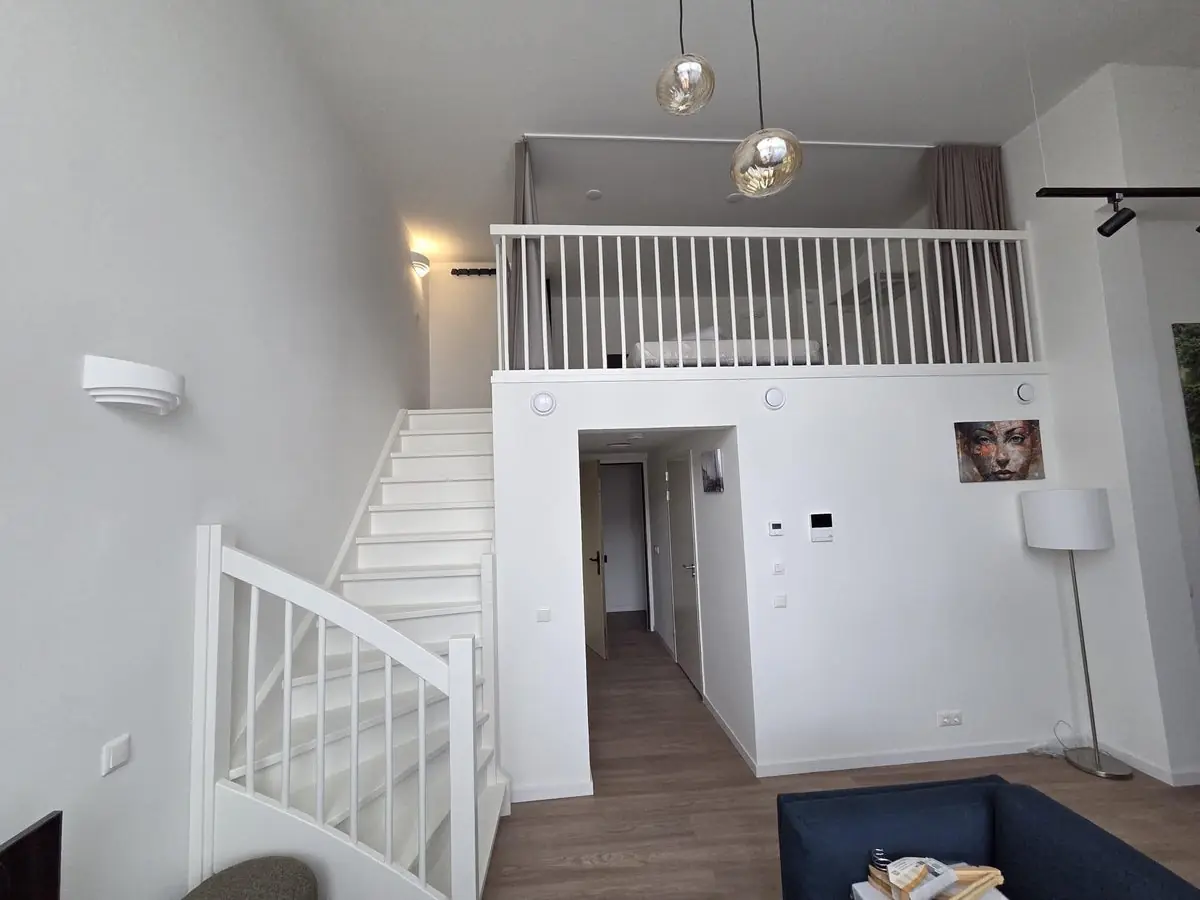 Image 4 sur 7