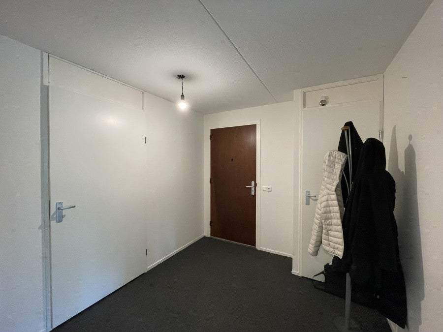Bild 2 von 19