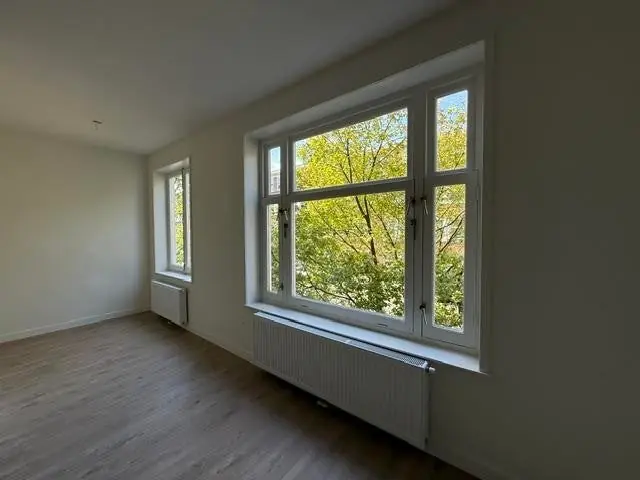Image 5 of 12