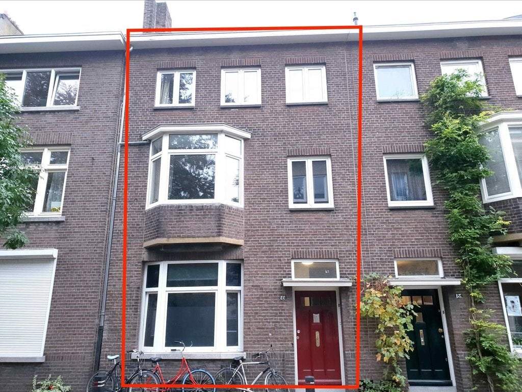 Afbeelding 1 van 8