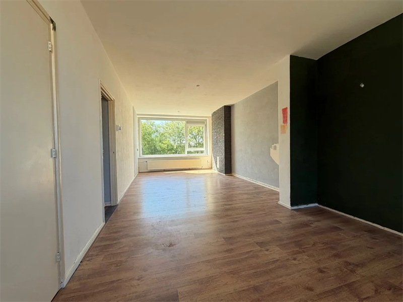 Image 2 of 15