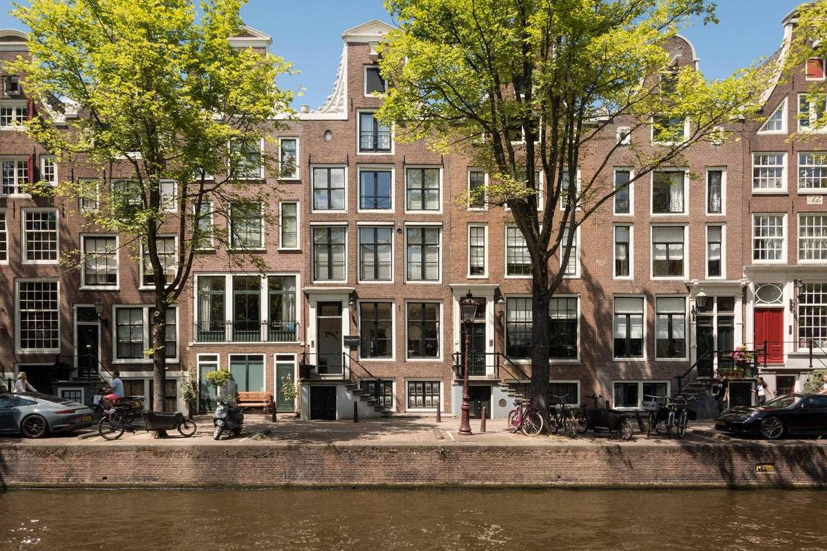 Afbeelding 1 van 16