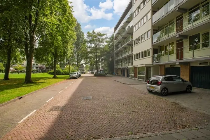 Image 20 of 23