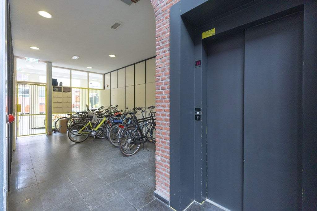 Afbeelding 44 van 46