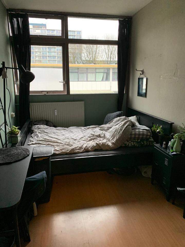 Image 2 of 10