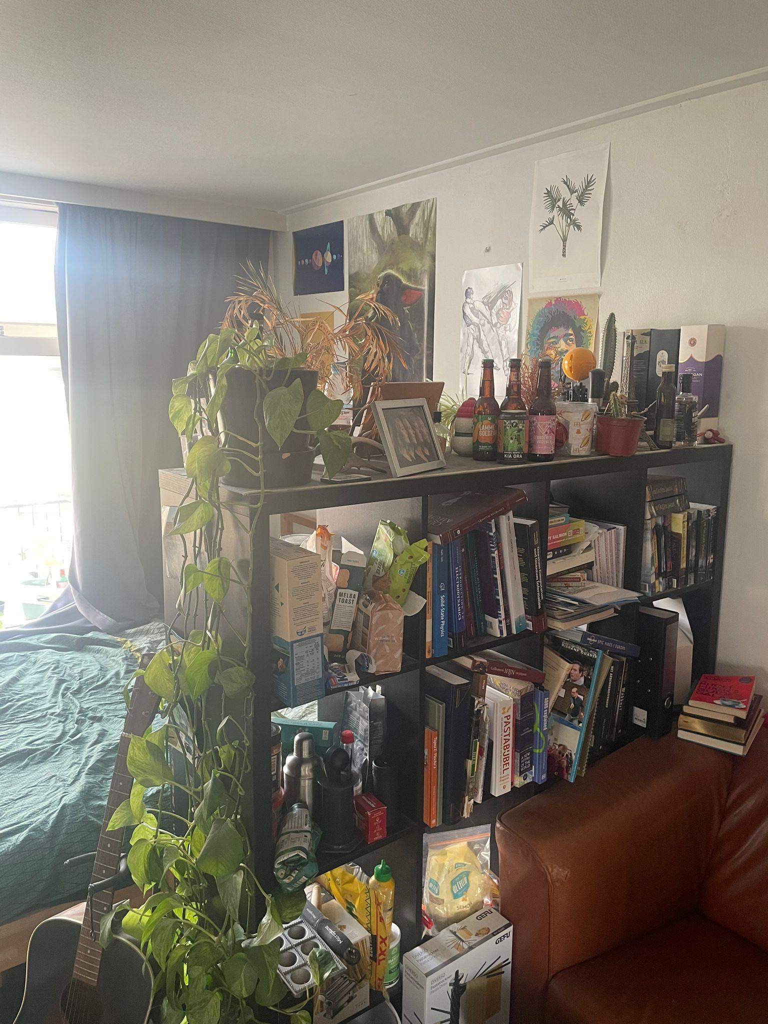 Image 3 of 10