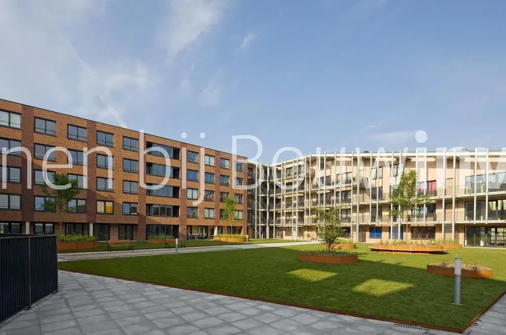 Afbeelding 5 van 30