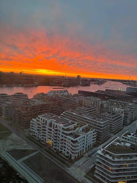Bild 3 von 8