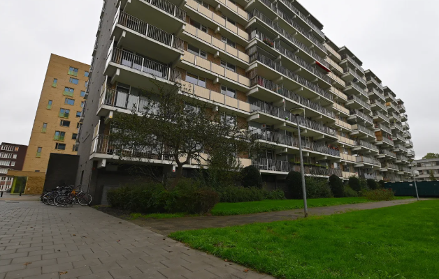 Afbeelding 2 van 8