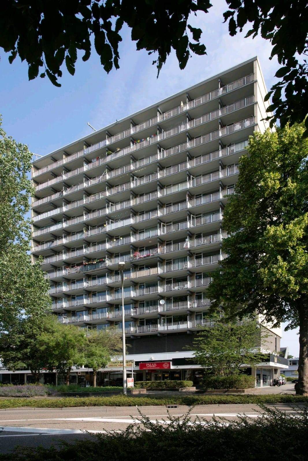 Afbeelding 2 van 31