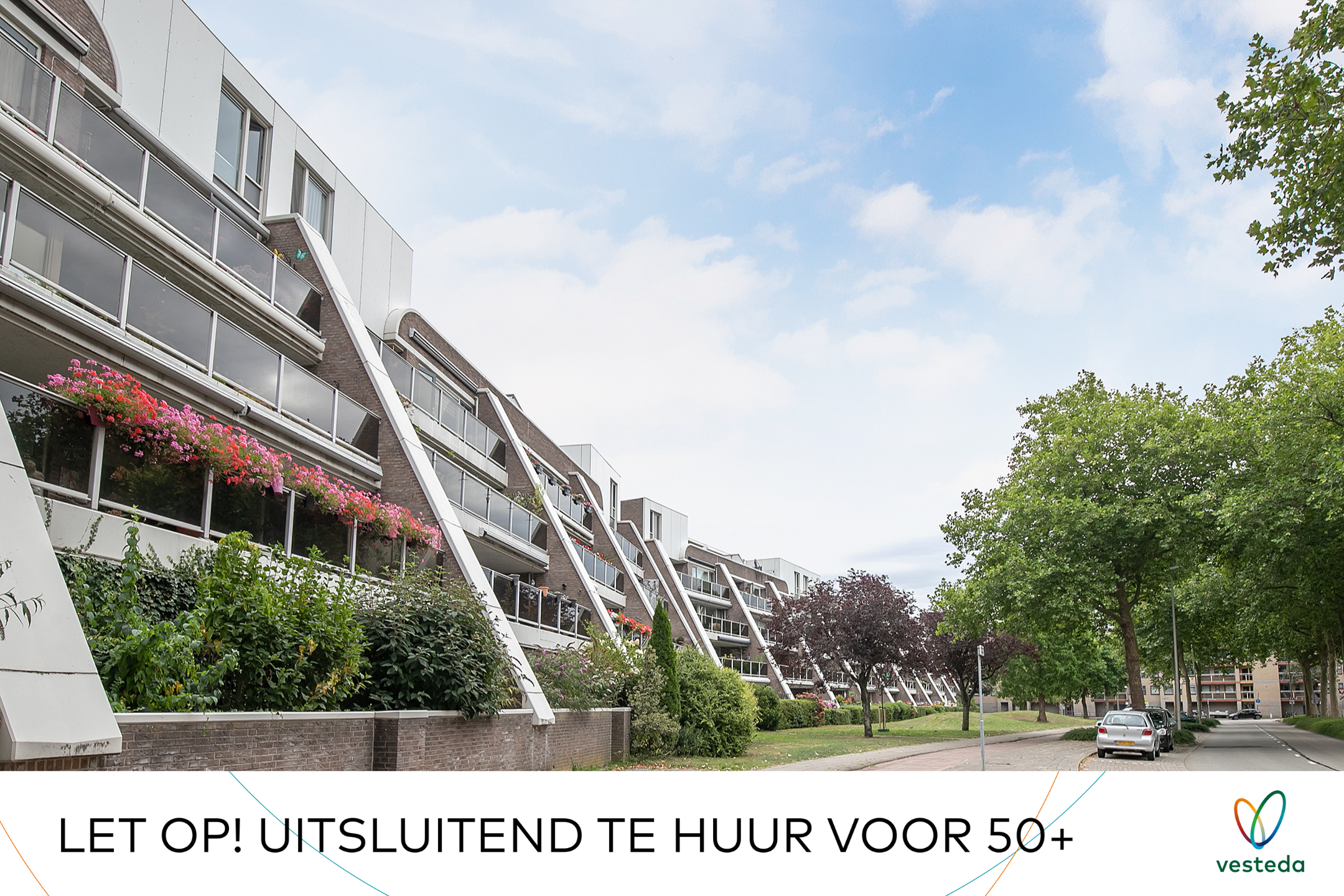 Afbeelding 2 van 2
