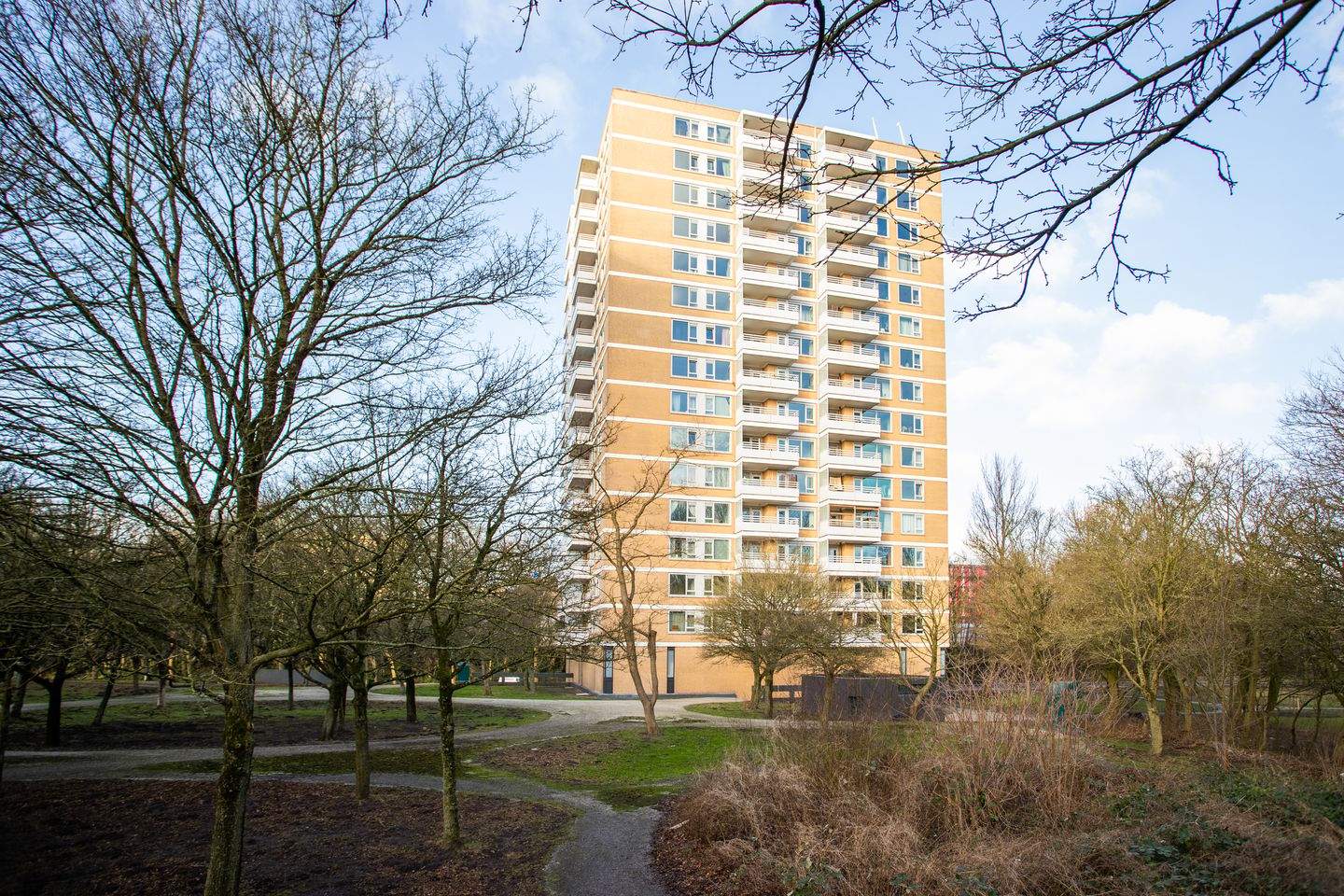 Afbeelding 2 van 12