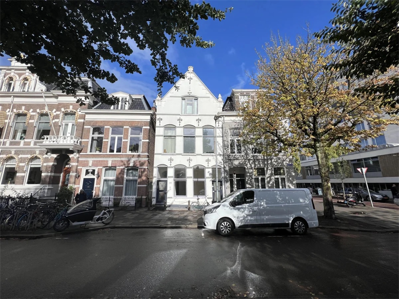 Afbeelding 7 van 14