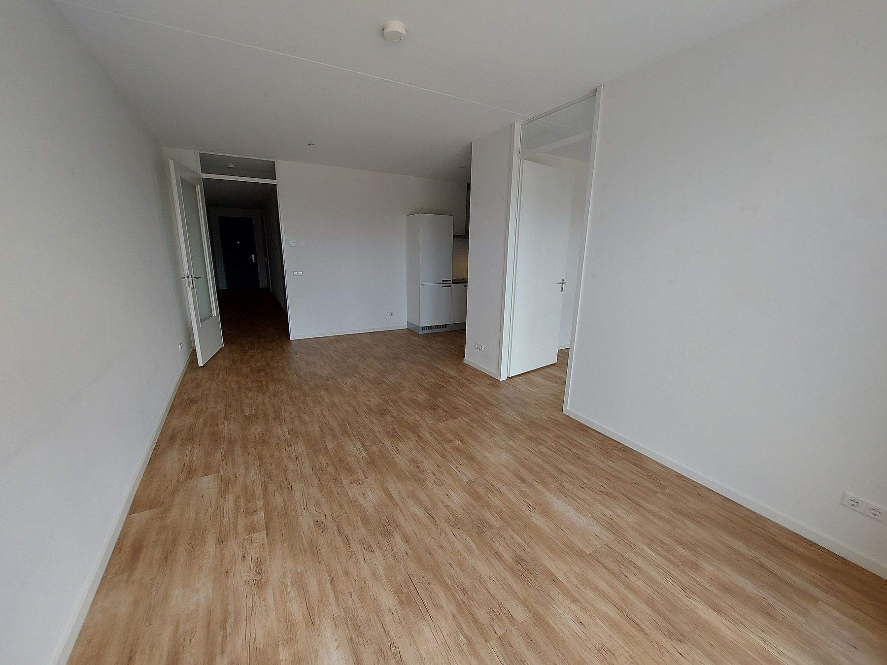 Bild 3 von 8