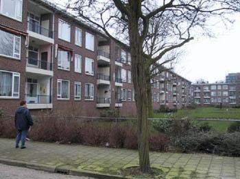 Afbeelding 2 van 5