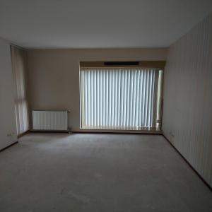 Image 7 of 7