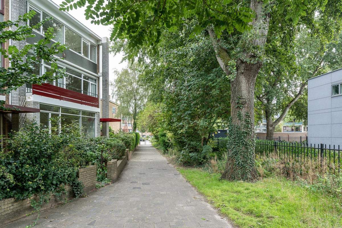 Afbeelding 3 van 100